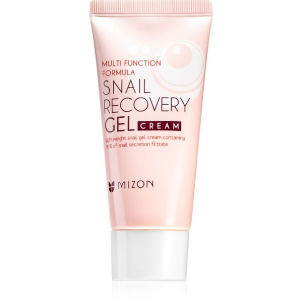 Mizon Multi Function Formula  Snail gel pentru fata cu extract de melc 45 ml-ro