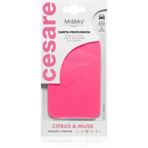 Mr & Mrs Fragrance Cesare Citrus & Musk etichetă parfumată pentru ușă 1 buc-ro
