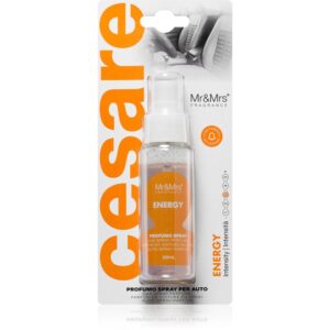 Mr & Mrs Fragrance Cesare Energy odorizant de camera pentru mașină 50 ml-Țena