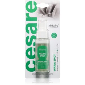 Mr & Mrs Fragrance Cesare Warm Spicy odorizant de camera pentru mașină 50 ml-ro