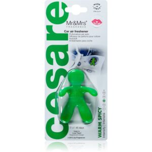 Mr & Mrs Fragrance Cesare Warm Spicy parfum pentru masina 1 buc-Țena