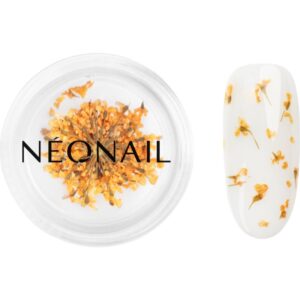 NEONAIL Dried Flowers flori uscate pentru unghii culoare Orange 1 buc-ro