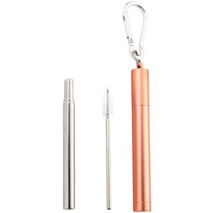 Naturalis Stainless Steel Straw Telescopic set pentru utilizarea de zi cu zi-Țena