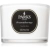 Parks London Aromatherapy Feu De Bois lumânare parfumată 80 g-Țena