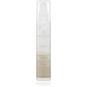 Paul Mitchell Awapuhi Wild Ginger HydroMist Blowout Spray spray pentru fixare pentru un volum perfect 150 ml-Țena