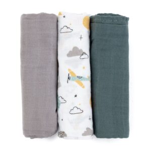 Petite&Mars Moussy scutece textile Grey Planes 68 x 68 cm 3 buc-Țena