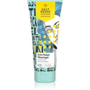 Salt House Natural Minerals Anti-pimple Skin Care Gel demachiant impotriva acneei 250 ml-ro