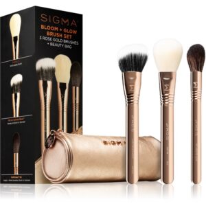 Sigma Beauty Brush Set Bloom + Glow set de pensule cu husă-Țena
