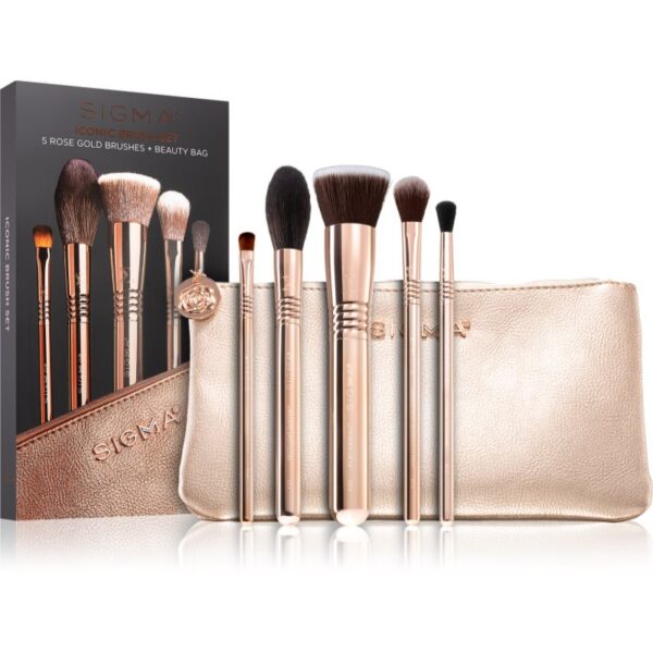 Sigma Beauty Brush Set Iconic set de pensule cu geantă-ro