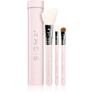 Sigma Beauty Essential set de pensule cu husă-Țena