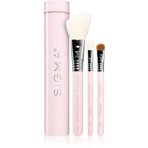 Sigma Beauty Essential set de pensule cu husă-Țena