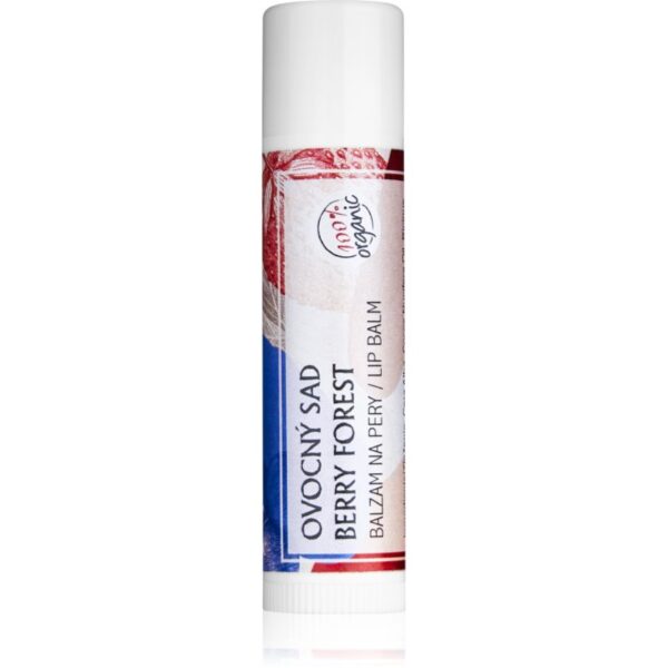 Soaphoria Lip Care Berry Forest Balsam de buze cu extract de fructe organic 5 g-ro
