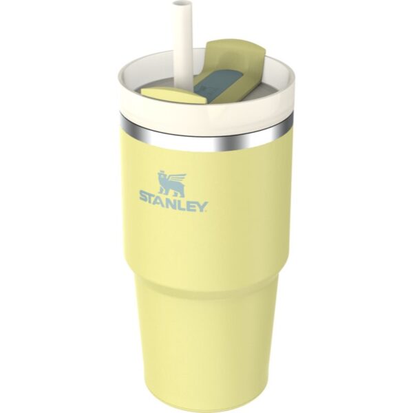 Stanley Quencher H2.O FlowState™ Tumbler pahar din oțel inoxidabil cu pai Pomelo 590 ml-ro