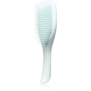 Tangle Teezer The Ultimate Detangler Fine & Fragile perie de tip paletă pentru par fragil Ice Blue 1 buc-Țena
