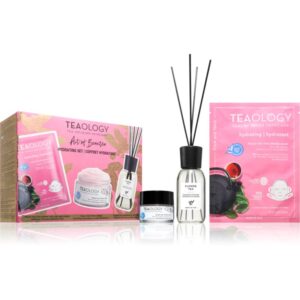 Teaology Peach Tea Hydrating Set set cadou-Țena