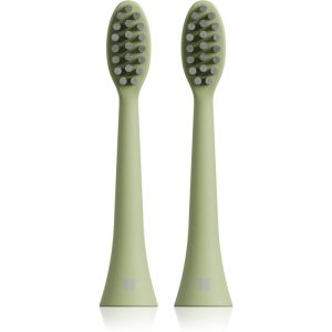 Tesla TS200 Brush Heads capete de schimb 2 buc-ro
