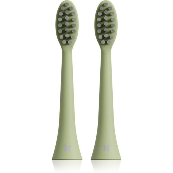 Tesla TS200 Brush Heads capete de schimb 2 buc-ro