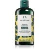 The Body Shop Moringa Shampoo șampon 250 ml-Țena