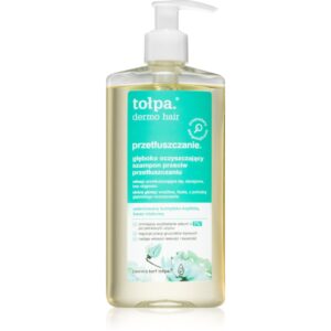 Tołpa Dermo Hair curatarea profunda a scalpului pentru par gras 250 ml-Țena
