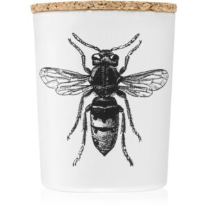 Vila Hermanos Insect Calabrone lumânare parfumată 75 g-ro
