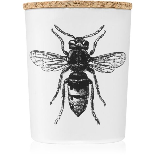 Vila Hermanos Insect Calabrone lumânare parfumată 75 g-ro