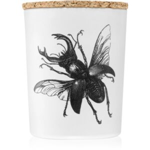 Vila Hermanos Insect Lucanus Cervus lumânare parfumată 75 g-ro