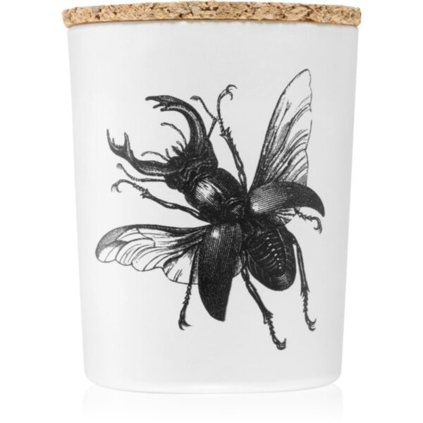 Vila Hermanos Insect Lucanus Cervus lumânare parfumată 75 g-ro