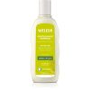 Weleda Hair Care sampon nutritiv cu mei pentru par normal 190 ml-ro