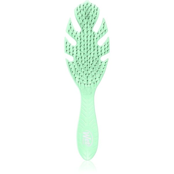 Wet Brush Go Green perie de par Green 1 buc-Țena