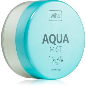 Wibo Aqua Mist pudra pulbere transparentă 10 g-Țena