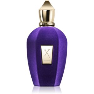 Xerjoff Accento Eau de Parfum unisex 100 ml-Țena