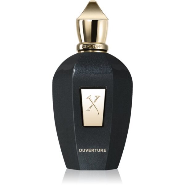 Xerjoff Ouverture Eau de Parfum unisex 100 ml-ro