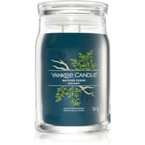 Yankee Candle Bayside Cedar lumânare parfumată Signature 567 g-Țena