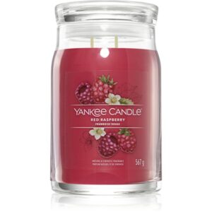 Yankee Candle Red Raspberry lumânare parfumată Signature 567 g-Țena