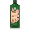 Yves Rocher Douceur sampon delicat with Organic Chestnut Milk 300 ml-ro
