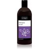 Ziaja Family Shampoo șampon pentru par gras 500 ml-ro
