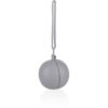 Zopa Silicone Pacifier Case Closable cutie pentru suzetă 0 m+ Dove Grey 1 buc-Țena