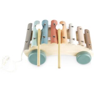Zopa Wooden Pull Xylophone xilofon de tras din lemn 1 buc-Țena