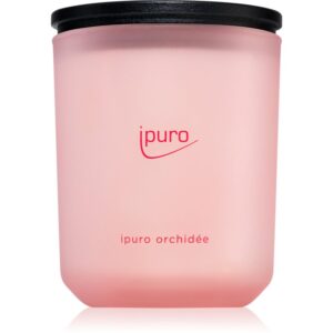 ipuro Classic Orchidée lumânare parfumată 270 g-Țena